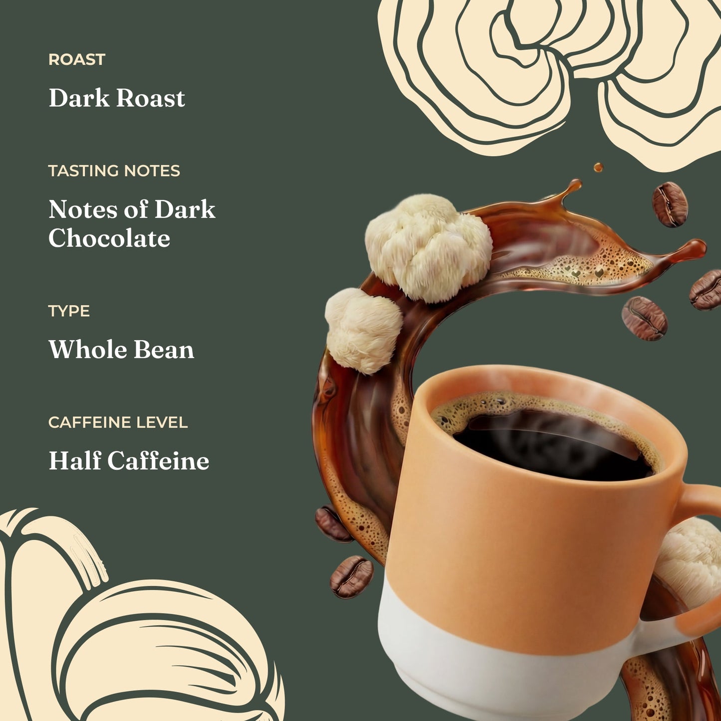 focus-half-caf-whole-bean-coffee-a5 Taste_-_Focus_Half_Caf_Whole_Bean_d1d02c35-db99-498e-ac43-813730db6953.jpg