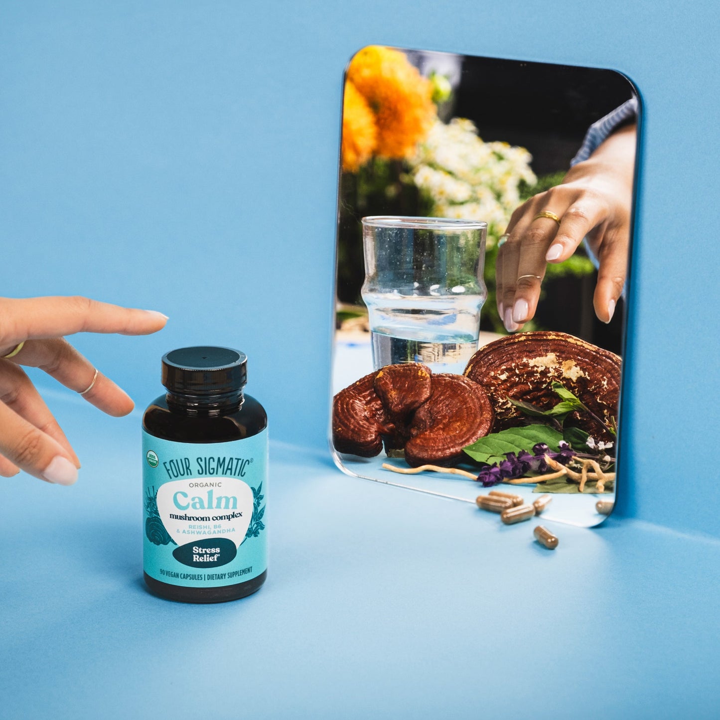 calm-capsules-x4 calm-capsule-1.jpg