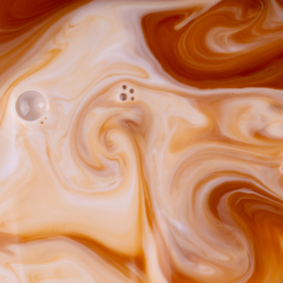 protein-coffee-x2 protein-coffee-taste.jpg